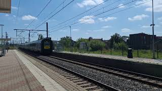 NMBS MS96 sounding the horn  Duffel  20240805  1502 [upl. by Ellemac]