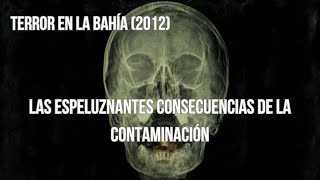 El siniestro mecanismo de defensa de la naturaleza  Isópodos mutantes  Terror en la bahía 2012 [upl. by Rudman]