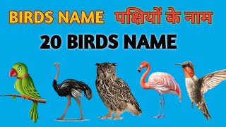 birds names English and hindi  पक्षियों के नाम  Birds Name  Vocabulary  ChuChuTV [upl. by Akimet]