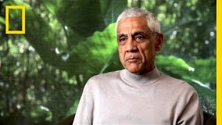 Investor Vinod Khosla Bets on Wood Chip Biofuels  National Geographic [upl. by Gerri848]