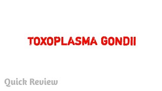 Toxoplasma gondii  Parasitology  MBBS [upl. by Brit]