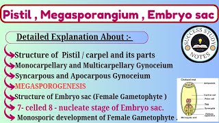 Pistil Megasporangium and Embryo Sac Class 12  Megasporogenesis Class 12  Embryo Sac Class 12 [upl. by Selry]