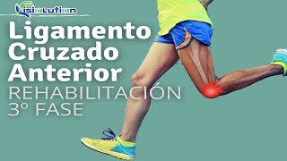 Ligamento Cruzado Anterior  3º FASE  REHABILITACIÓN con EJERCICIOS  Fisiolution [upl. by Bratton]