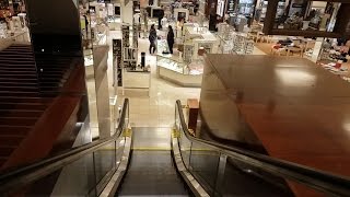 Westinghouse Escalators  Macys Shops at Nanuet Nanuet NY [upl. by Althee874]