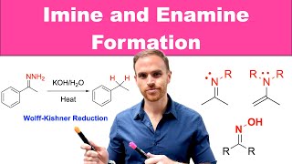 Synthesizing Imines and Enamines A Complete Guide [upl. by Ynneb]