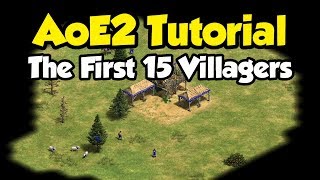 Beginner guide to the first 15 villagers AoE2 [upl. by Nyliram]