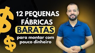 12 Pequenas Fábricas Baratas e Lucrativas Para Montar Com Pouco Dinheiro [upl. by Knorring]