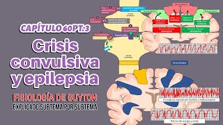 CAP 60 34 Convulsiones y epilepsia fisiopatología [upl. by Einnim]