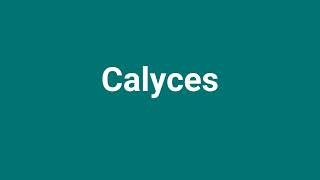 Calyces Meaning and Pronunciation [upl. by Ennasor]