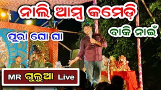 MR GULUA COMEDY  ନାଲି ଆମ୍ବ କମେଡି। ବାକି ନାହିଁ ଗୁଲୁଆ କମେଡି  Mr Gulua Comedy [upl. by Nahs317]