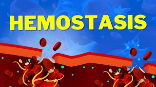 Hemostasis  How We Stop Bleeding [upl. by Long]