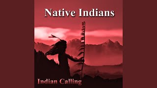 Return to Innocence Native American Music [upl. by Marylinda]