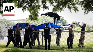 WATCH Black bear falls from tree after being tranquilized [upl. by Jevon]