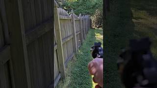 BUG A SALT Carpenter Bees vs Pellet Pistol with salt loads bees pestcontrol bugs [upl. by Nannoc]