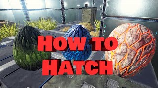 How To Hatch Wyvern Eggs  Easy Way  no AC [upl. by Emile271]