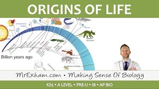 Origins of Life  LUCA endosymbiosis and multicellularity  Post 16 Biology A Level PreU IB [upl. by Zoubek136]