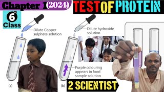 प्रोटीन परीक्षण Test of protein Class 6 science experimentClass 6 Science food test [upl. by Clovis235]