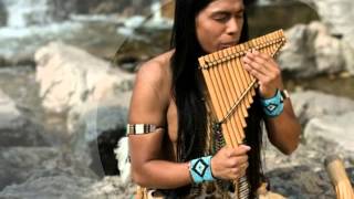 NINO LEO ROJAS [upl. by Atlas16]