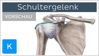 Schultergelenk Anatomie der Knochen Bänder und Muskeln Vorschau  Kenhub [upl. by Nyrret]