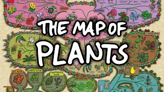 The Surprising Map of Plants [upl. by Lagasse]