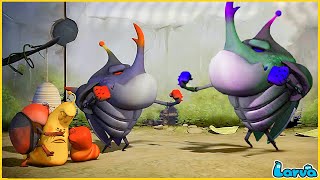 LARVA FULL EPISODE MOVIES  COMEDY VIDEO 2023  THE BEST OF CARTOON BOX  TRY NOT TO LAUGH [upl. by Acus897]