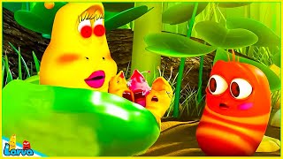 LARVA SEASON 1 EPISODE BABY LARVA 2 🍟 NEST VERSION LARVA 2024  MINI SERIES FROM ANIMATION LARVA [upl. by Ahab]