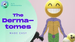 How to Easily Memorize the Dermatomes [upl. by Einaffit]