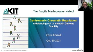 Sylvia Erhardt quotCentromeric Chromatin Regulation A Balancing Act to Maintain Genome Stabilityquot [upl. by Eicart]