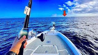 Fishing SOLO Offshore in the Gulf of Mexico for my DINNER Delicious Catch Clean Cook [upl. by Isaac]