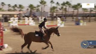 Rumpleteazer DF amp Hannah Selleck  120m Jumpers at National Sunshine Series I [upl. by Niven]