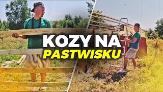 NAAAARESZCIE ❗ kozy na pastwisku 🐐🐐🐐 MOJE MINI ZOO  odc 449 [upl. by Shira]