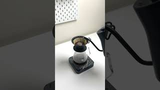 How to Make the Perfect Pourover Coffee at Home 2024 v60 thirdwavecoffee squaremilecoffeeroaster [upl. by Seth]