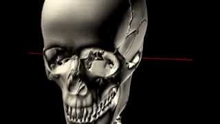 The Skull in Motion  Atlas and Occiput [upl. by Jansson635]