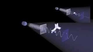 Fluorescence Polarization [upl. by Etnod]