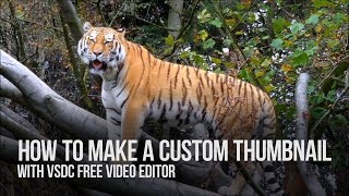 Lifehack create a custom thumbnail with VSDC Free Video Editor [upl. by Yeh]