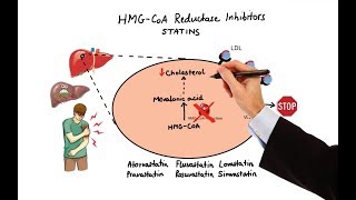 Pharmacology  DRUGS FOR HYPERLIPIDEMIA MADE EASY [upl. by Wetzell]