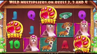 Online Slots with The Bandit [upl. by Ablem]