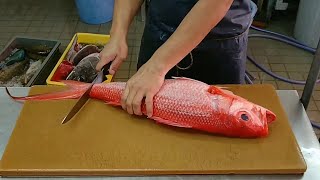 Watch Cool Fish Filleting Compilation Skills [upl. by Schug]