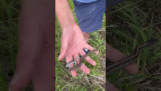 Plains garter snake release with JustAPhatGecko [upl. by Aniles]