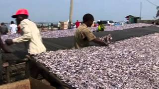 Un projet à succès de la FAO au Burundi Appui à la technologie postcapture de poisson [upl. by Donadee]