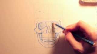 Tutorial Disegno Lezione 04 quotAnatomia del Teschioquot [upl. by Alhsa782]