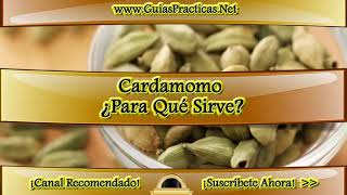 Cardamomo ¿Para Qué Sirve [upl. by Ipoillak]