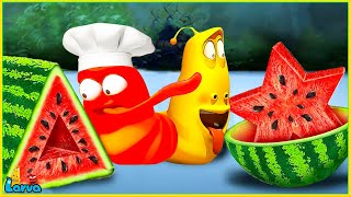 Larva Tuba 20224 Food Shaping  Cartoon Movies Top 50 Episode Mini Series From Animation Larva [upl. by Chamberlain]