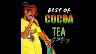 Dj Rhymez  Best of Cocoa Tea Mix 2022 [upl. by Hubble148]