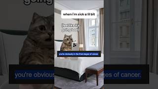 WebMD Cancer catmemes cat funny relatable funnycats cute memes pets viral fyp [upl. by Nadabus]