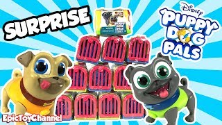 DISNEY PUPPY DOG PALS SURPRISE Travel Pets with Bingo and Rolly  Disney Surprise Toys for Kids [upl. by Ynor]