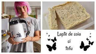 Lapte de soia si tofu cu Hapax8 [upl. by Codie]