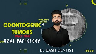 odontogenic tumors  ameloblastoma  part 1  oral pathology عزت شومان [upl. by Nivets]