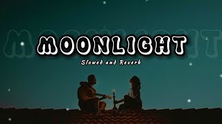 Moonlight Lofi  Harnoor  Panjabi song  Lofi Music  Slowed and Reverb [upl. by Iggem]