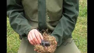 Comment se débarrasser facilement des taupes dans votre jardin [upl. by Dido]